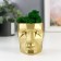 Kashpo concrete "head" with moss height 8.5 cm gold (moss green stabilized)
