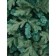 Artificial spruce Green Trees "Rosso", premium, 180 cm