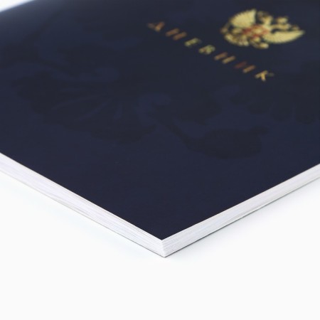 School diary 1-11 grade, in a soft cover, 40 liters "September 1: Russian coat of arms"-1