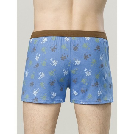 Men's panties, size 50, color blue, brown, 2 pcs-2
