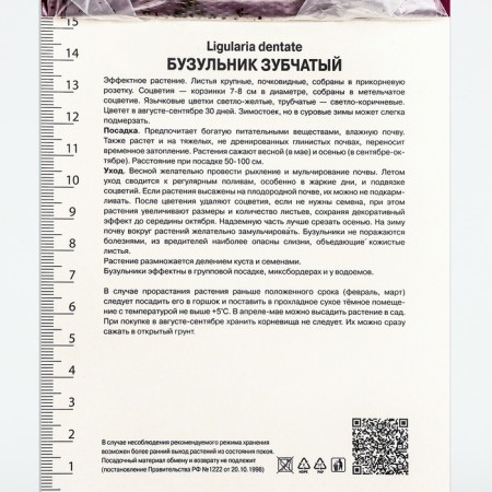 Buznil Tozhno Desdemona, rr I, 1 pc, spring 2025-3