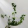 Mounts for climbing plants, 3*2.1 cm sheet (set10 pcs) self -adhesive