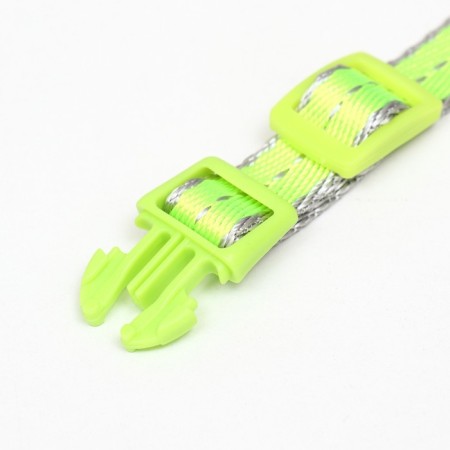 Neon collar 24-36 x 1.5 cm, green-4