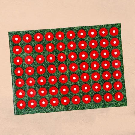 Kuznetsov applicator "most beloved", 70 spines, film, 23 x 32 cm-3