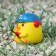 Duckling on the car panel, guitarist, yellow