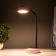 Table lamp "Ears" LED 3 modes 2W USB pink 6x12x37 cm Risalux