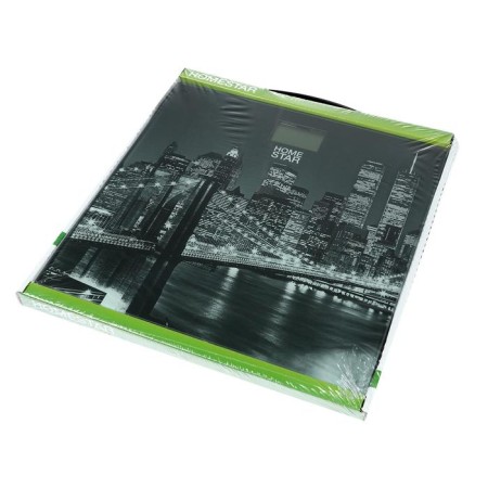 Floor Libra Homestar HS-6001E, electronic, up to 180 kg, picture "City"-6