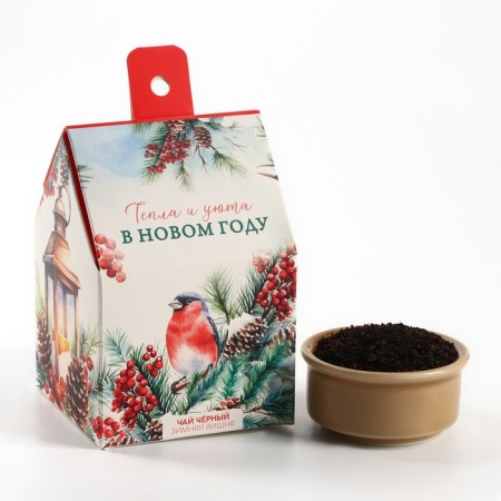 Tea in the Domik box "warmth and comfort", 50 g-1