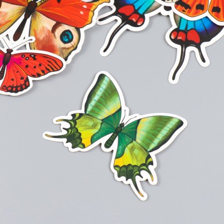 Butterflies cardboard "natural" set 12 pcs h = 4-10 cm on magnet-3