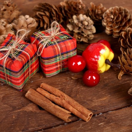 Set of New Year's decor "Forest Gifts"-2