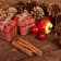 Set of New Year's decor "Forest Gifts"