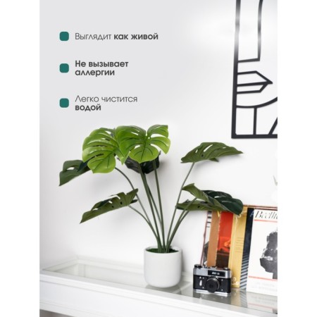 Decorative plant in the cement pot of Monster, 15 × 15 × 89 cm-4