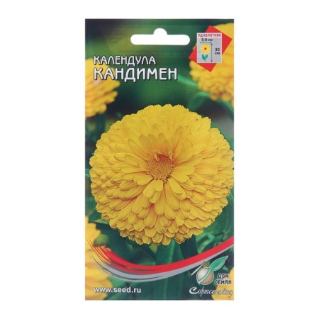 Candile Kandimen flowers, 35 pcs