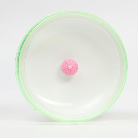 Wheel for rodents are quiet, 15 cm, color mix-5