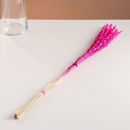 Set of dried flowers "Raigrace", banch 21 pcs, length 60 (+/- 6 cm), fuchsia-3