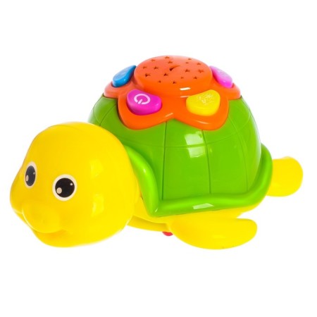 Musical toy "Turtle", light and sound effects-1