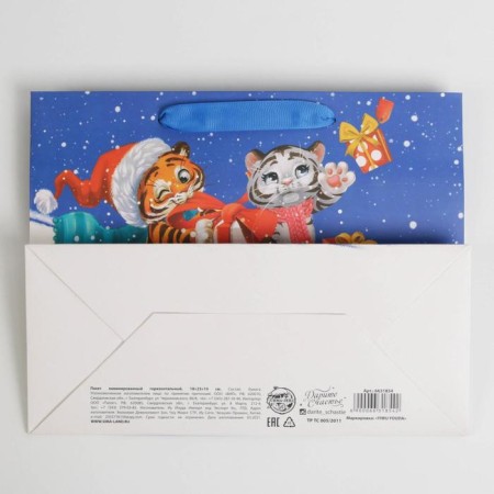 Laminated horizontal package "Funny Tigers", MS 18 x 23 x 10 cm, New Year-3