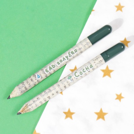 Growing gift pencils mini "blue spruce + pine" set 2 pcs.-3