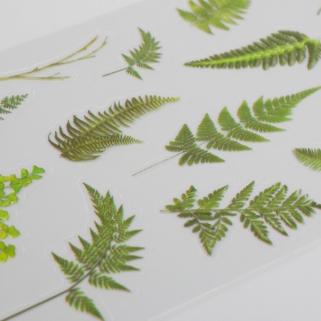 Stickers Plastic "Tropical Leaves" set of 6 sheets 10x18 cm-3