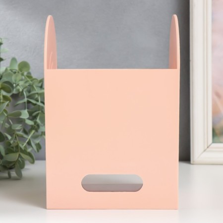 Organizer Casket Plastic "Laconism" pink 12x14.2x21 cm-4