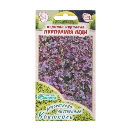 Curling railing seeds "purple lady", 0, 1 g