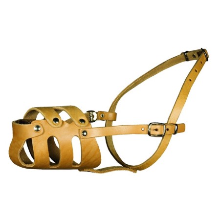 Film -beasting muzzle for poodle