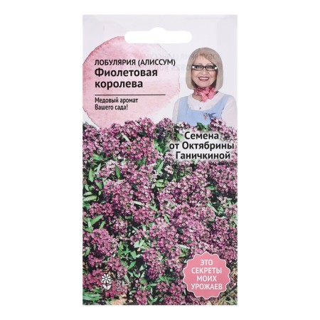 Alissum flowers (lobulary) "Violet Queen", 0.1 g