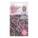 Alissum flowers (lobulary) "Violet Queen", 0.1 g