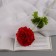 Artificial flowers "chrysanthemum lux" d-9 cm, 50 cm, red