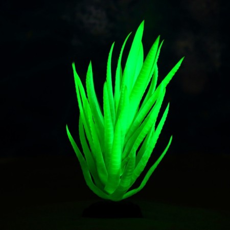 The plant is artificial aquarium, luminous, 20 cm, green-5