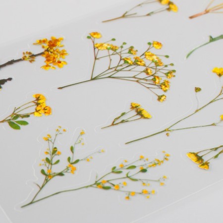 Plastic stickers "Mimosa" set 6x18 cm-3