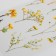 Plastic stickers "Mimosa" set 6x18 cm