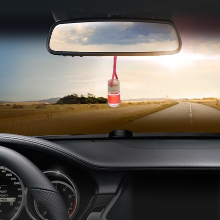 The flavor on the mirror in the bottle "Driver with experience" Babb Gam-2