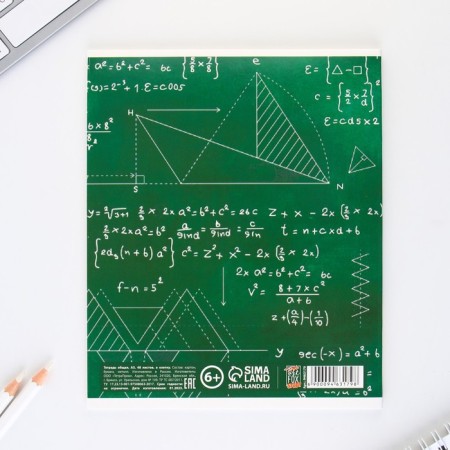 An objective note 48 sheets, A5, cute pets, with reference materials “September 1: Geometry”, cover coated cardboard 230 gr., Inner block in a cage 80 gr., Sweetie 96%, block No. 1.-5