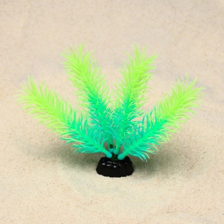 The plant is artificial aquarium, luminous, 10 cm, green-1