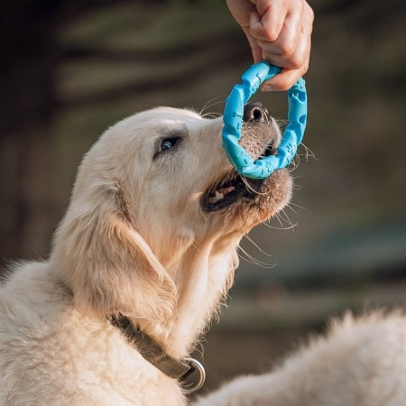 Chewing toy for dogs "twisted ring", 11.5 cm, blue-3