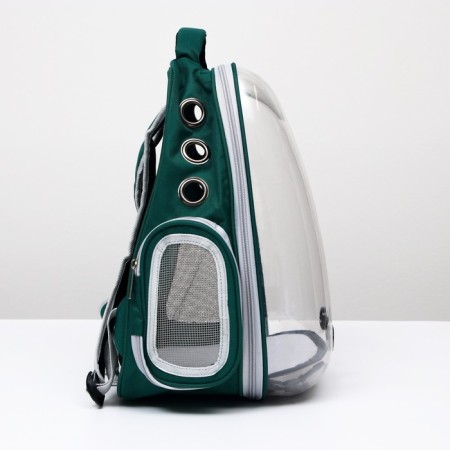 A backpack for carrying animals "cat", transparent, 34 x 25 x 40 cm, green-1