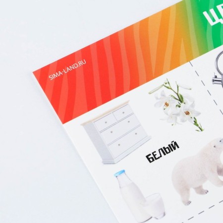 A set of training posters "Study the world", 10 in 1, A4-20