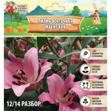 Lilia East "Mount Cook", rr 12/14, 3 pcs, spring 2024