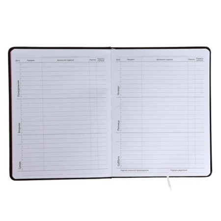 Universal diary for grade 1-11 CAT, hard cover, artificial leather, foam rubber, liescse, 80 g/m2-6
