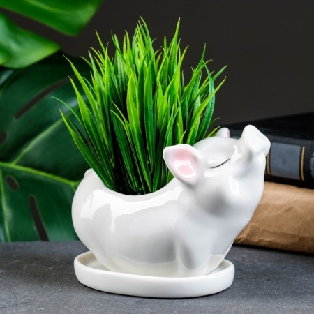 Pig "pig" 12x6x10cm