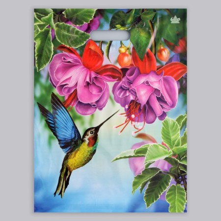 Package "Hummingbirds in Colors", polyethylene, with a cut pen, 31 x 40 cm, 60 μm-1