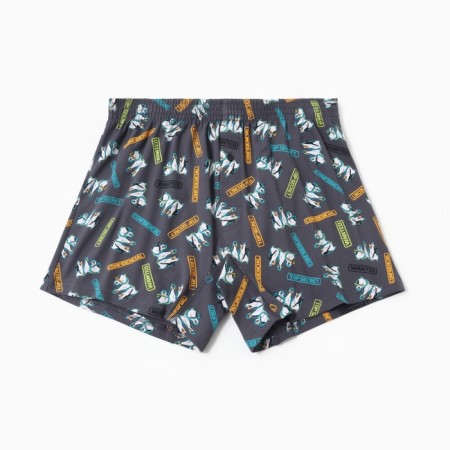 Panties men's boxers, Penguin color/Gray, Rr. 54 (XXL)