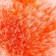 Pompon Artificial fur "Red with white tips" d = 9 cm
