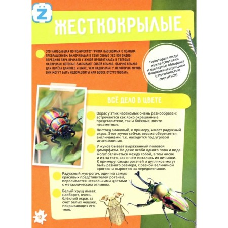 Dinosaurs. World Ocean. Insects and spider -shaped. Animals-15