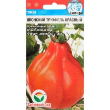 Seed Tomat 
