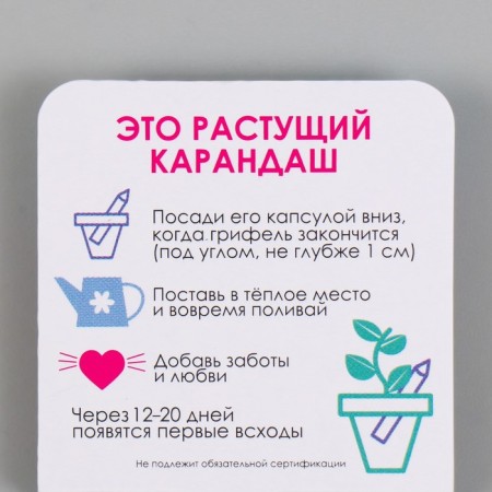 Growing gift pencils mini "clove"-2
