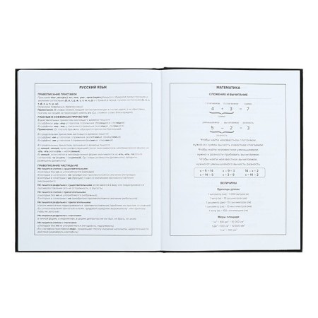 School diary for grades 1-11, 48 sheets "Main", solid cover, "software", universal cheat sheet, block 65g/m2-10