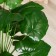 Artificial tree "Alocasia" 74 cm