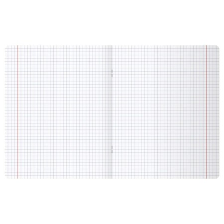 A notebook “Scandalies”, 48 sheets in the “Social Studies” cage, covered cardboard, glossy lamination, an offset block 65 g/m2-1